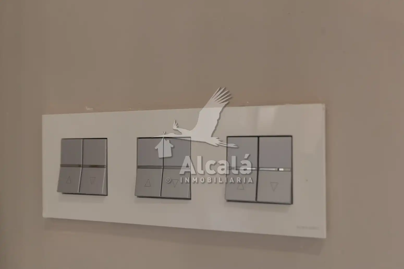 Piso con jardín en venta en Colonia - Bripac, imagen 17