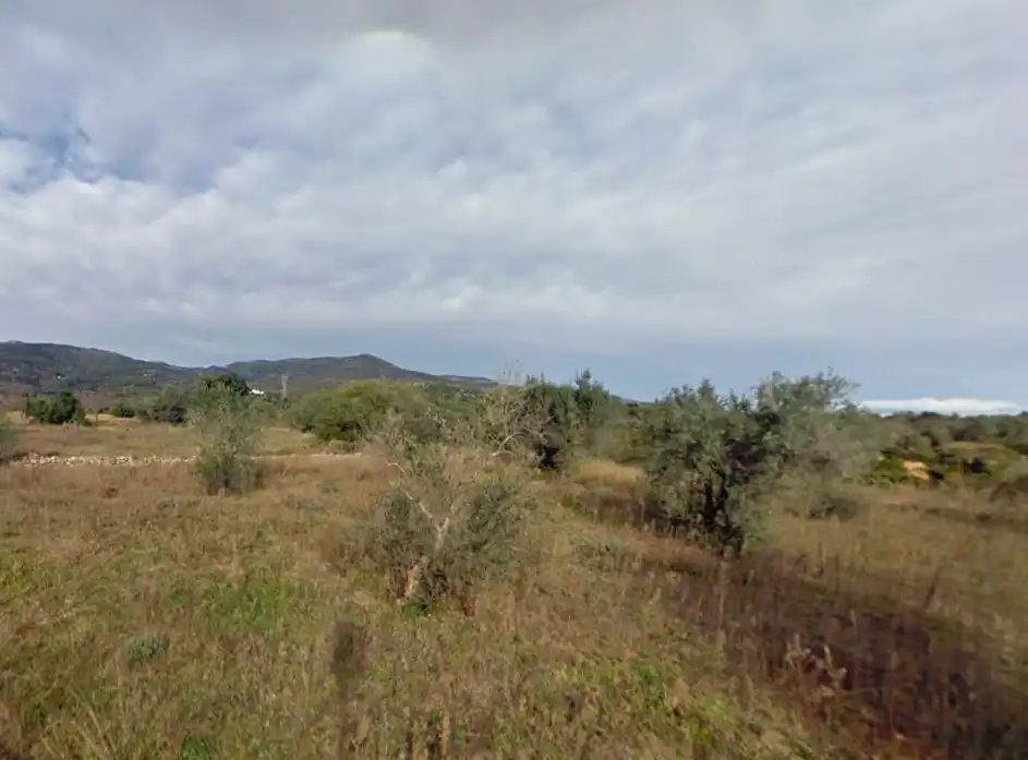 Terreno rustico in vendita a Les Coves de Vinromà, imagen 6