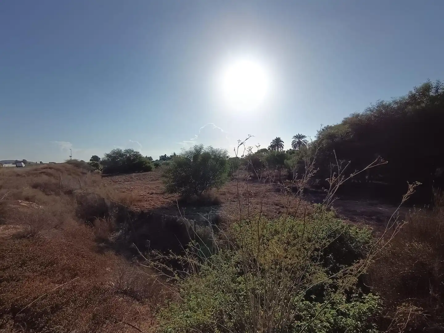 Rural land for sale in Jubalcoi, imagen 6