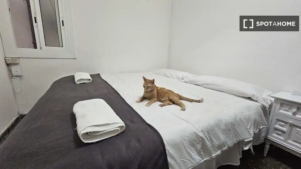 Habitación en Centre