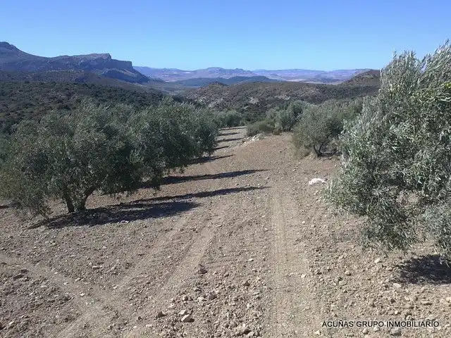 Lands and plots for sale in Bobadilla - Bobadilla Estación - La Joya, imagen 3