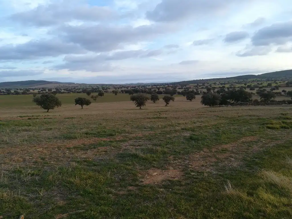 Casa rústica en venda a Santa Cruz de Mudela, imagen 9