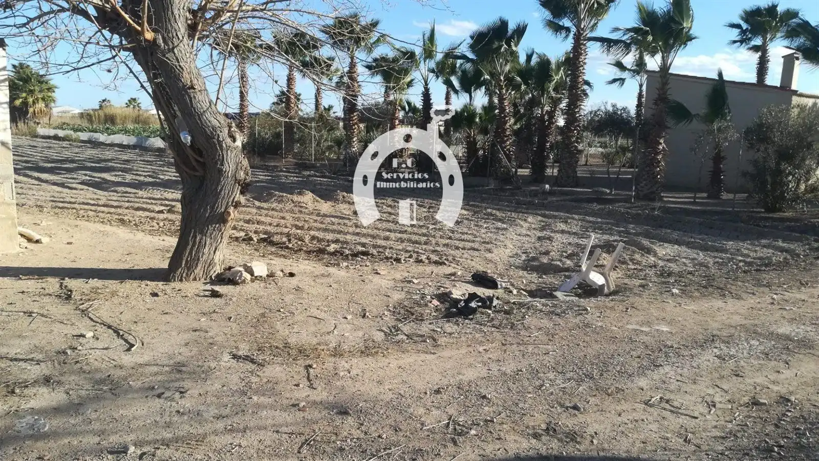 Terreno rustico in vendita a San Fulgencio, imagen 3