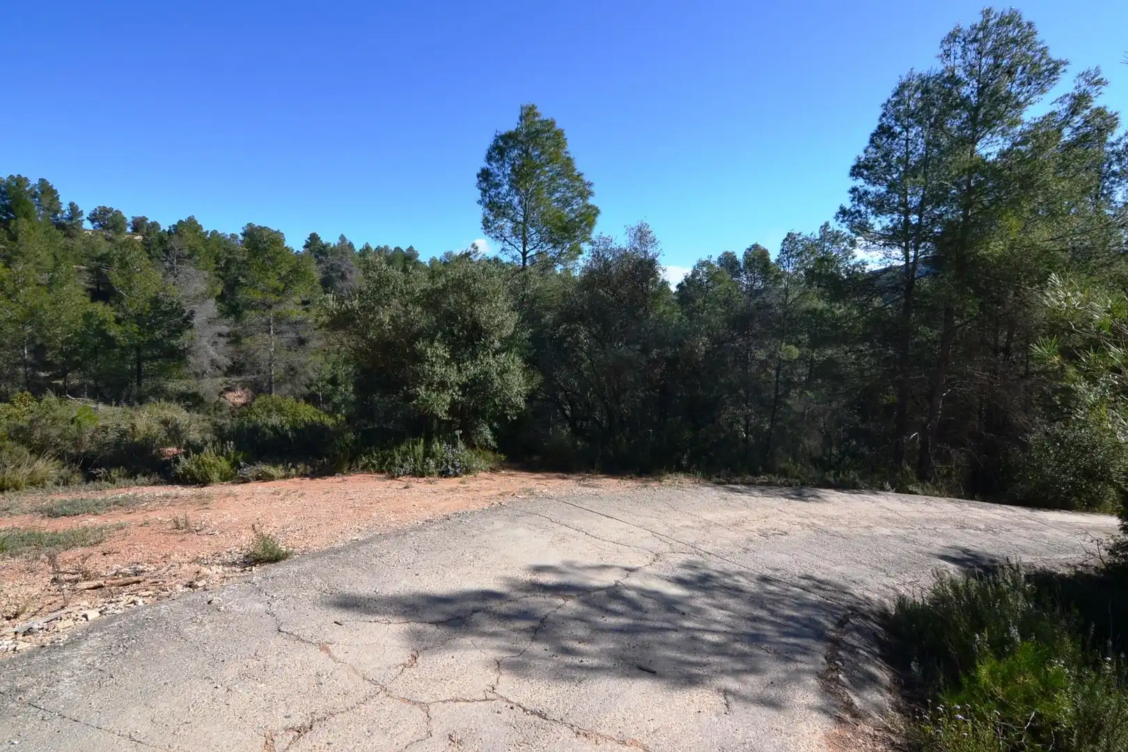 Rural land for sale in Ascó, imagen 48