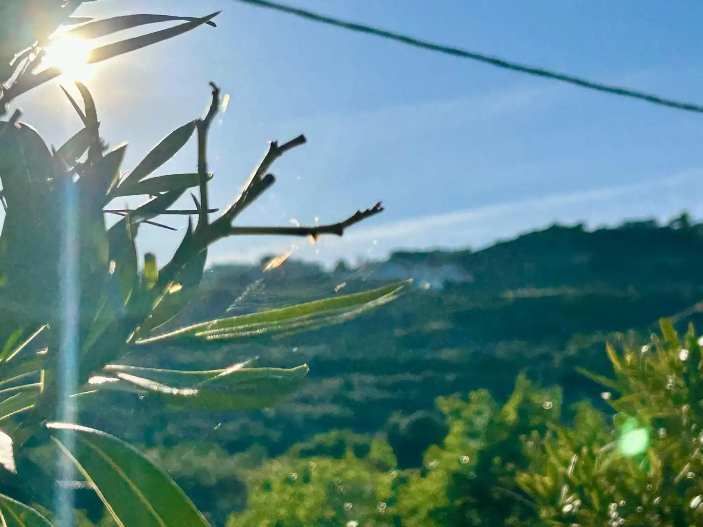 Jardín de Terreno en venta en Felix