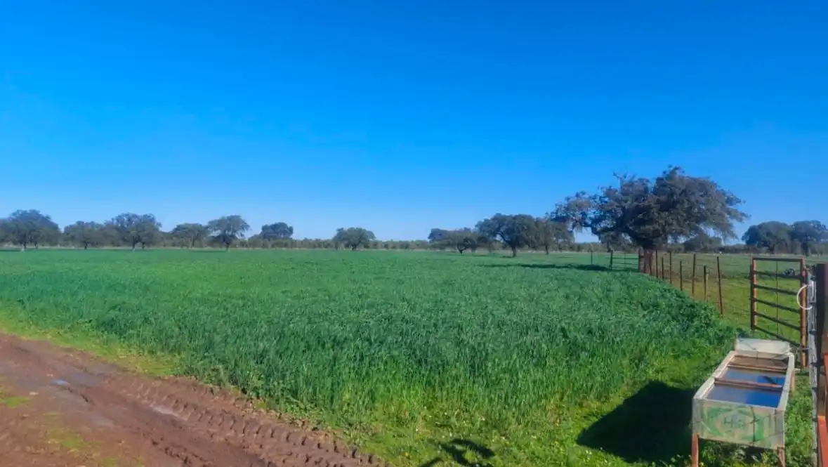 Terreni e lotti in vendita a La Albuera, imagen 6