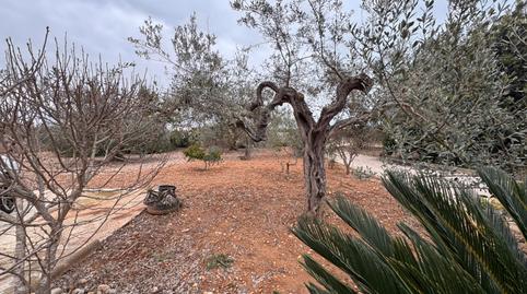 Photo 3 of House or chalet for sale in Centro Comercial - Capsades -  Hospital, Vinaròs