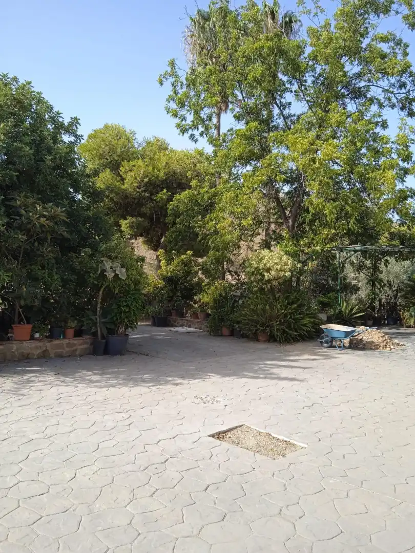 Xalet amb jardí en venda a Calle Sócrates 22, imagen 22