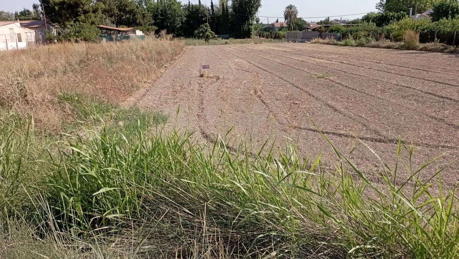Terreny rústic en venda a Carril Ermita Los Alburquerques 42, imagen 3