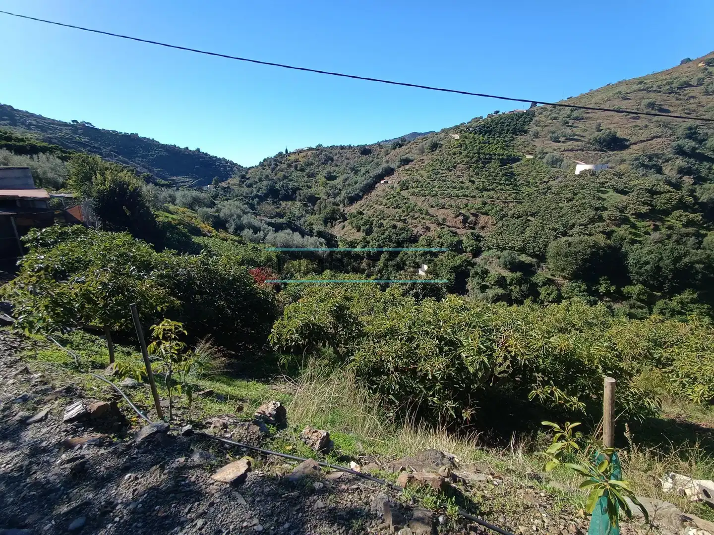 Terreny rústic en venda a Sayalonga, imagen 12