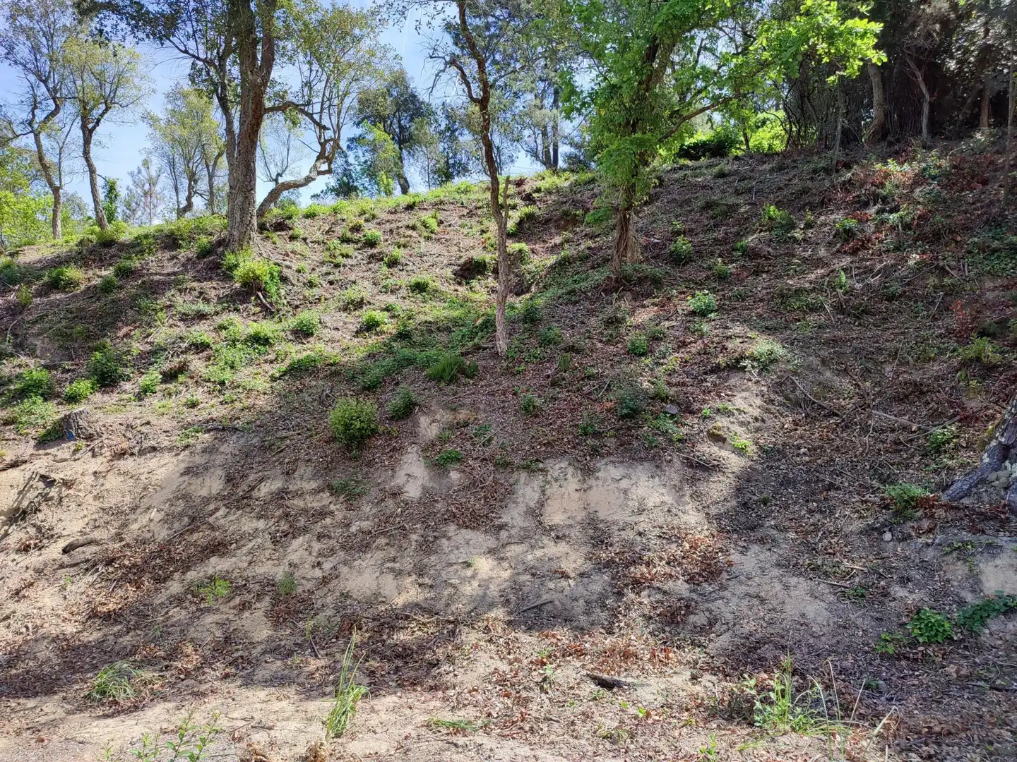 Wohnbaugrundstück zum Verkauf in Lloret Blau - La Creu de Lloret, imagen 3