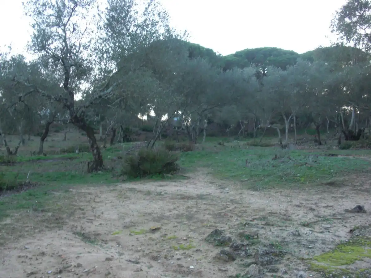 Casa rústica en venda a Barbate ciudad, imagen 14