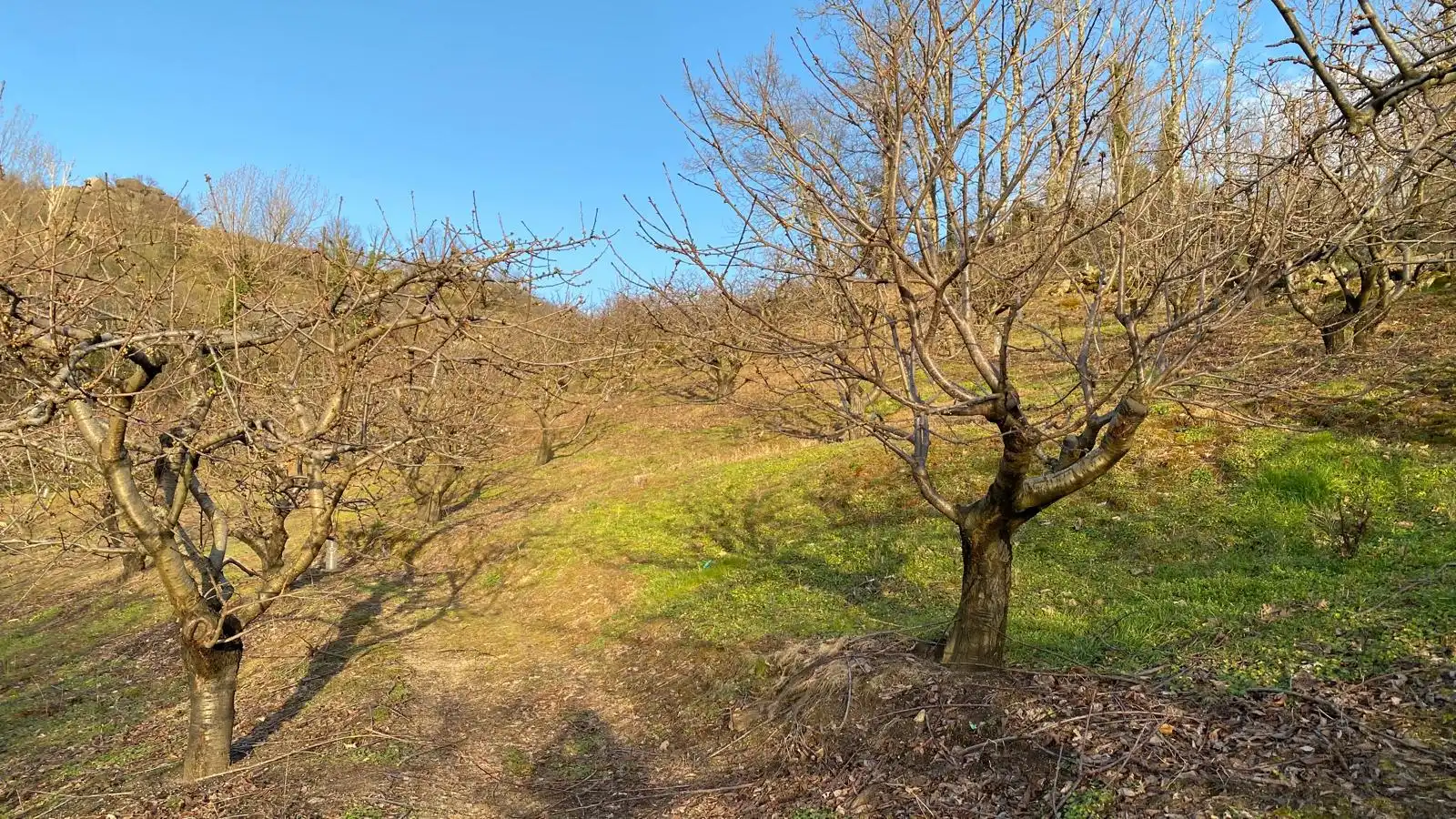 Terreni e lotti in vendita a Hervás, imagen 12