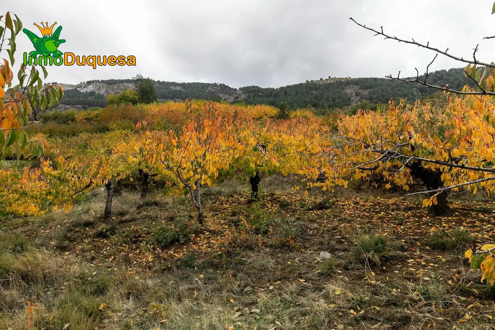 Casa rústica en venda a Güéjar Sierra, imagen 18