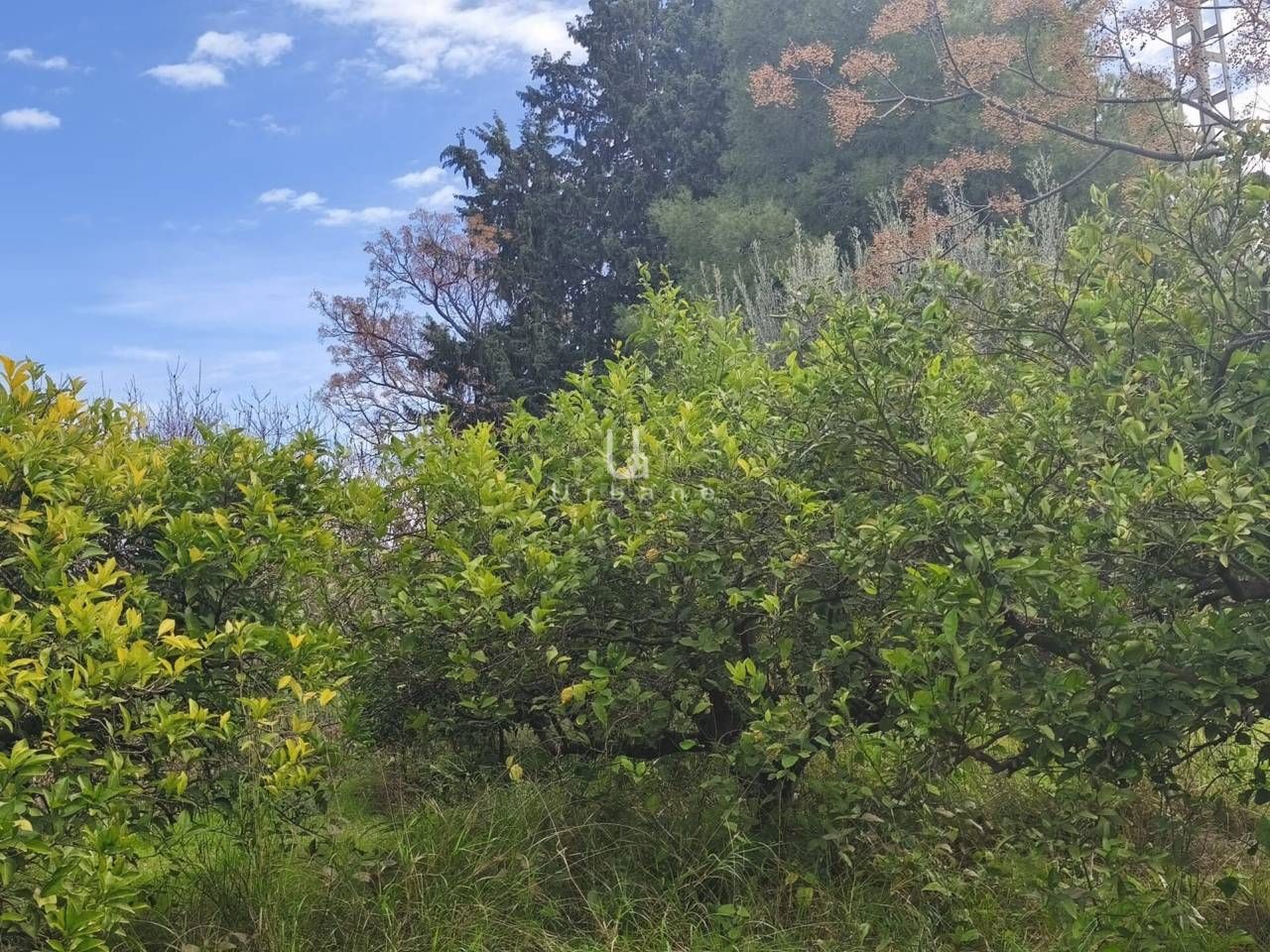 Country house for sale in  Murcia Capital  with Terrace