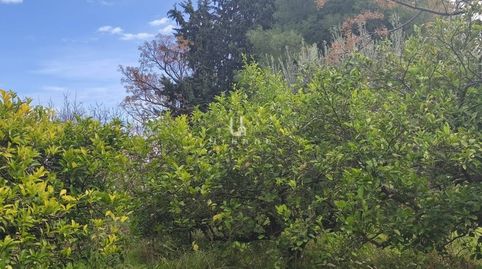 Foto 3 de Finca rústica en venta en Albatalia, Murcia Capital