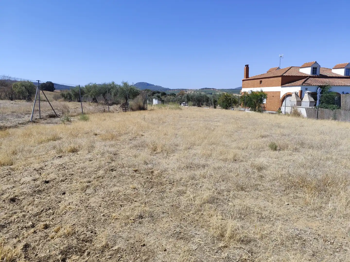 Terreno rústico en venta en Don Álvaro, imagen 5