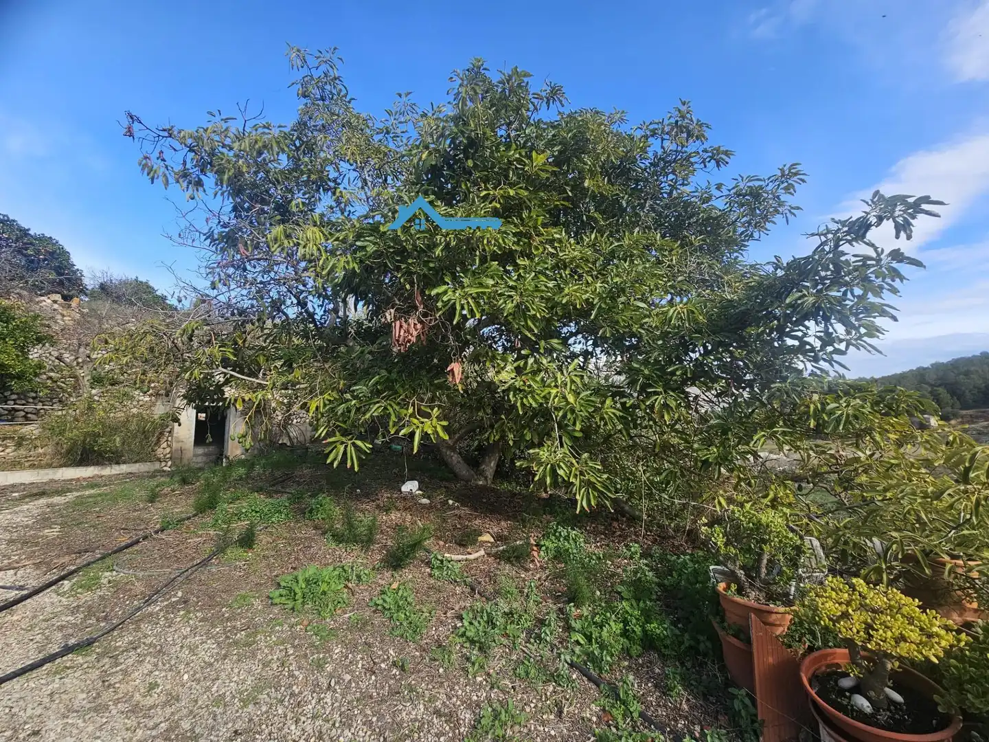 Country house with garden for sale in Callosa d'en Sarrià, imagen 43