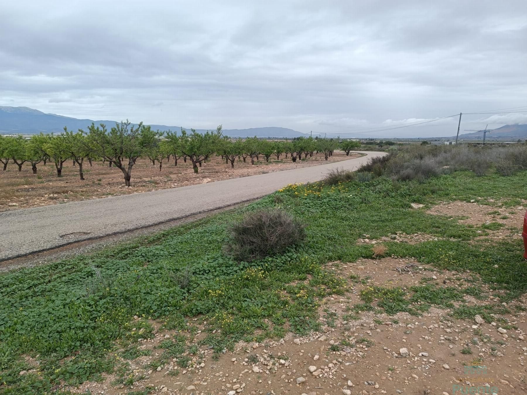 Residencial en venda en Totana