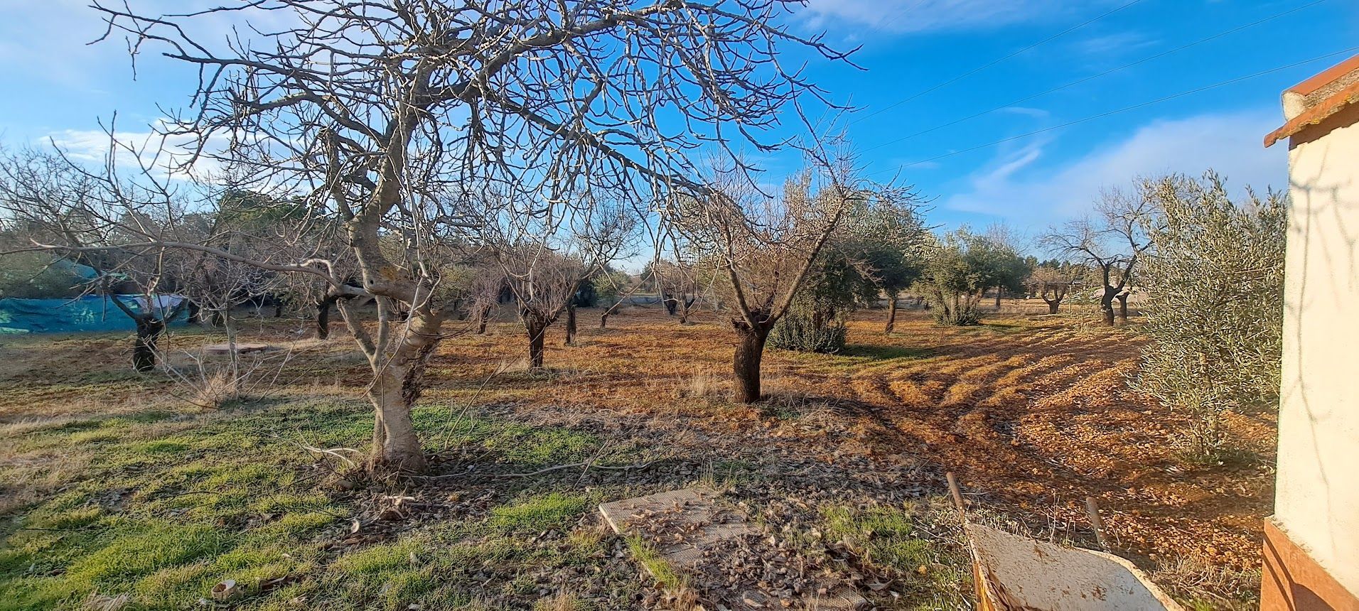 Casa o xalet en venda a Carretera de Puertollano, Argamasilla de Calatrava