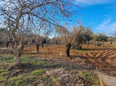 Casa amb piscina en venda a Carretera de Puertollano