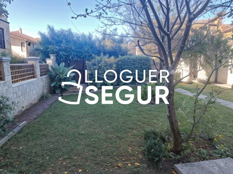 Pis de lloguer a renaixament, Serraparera