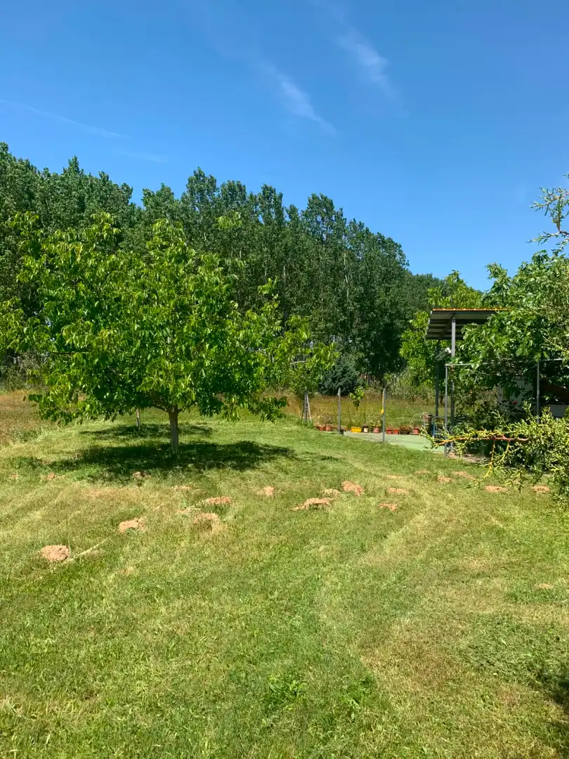 Terreno en venta en Viana