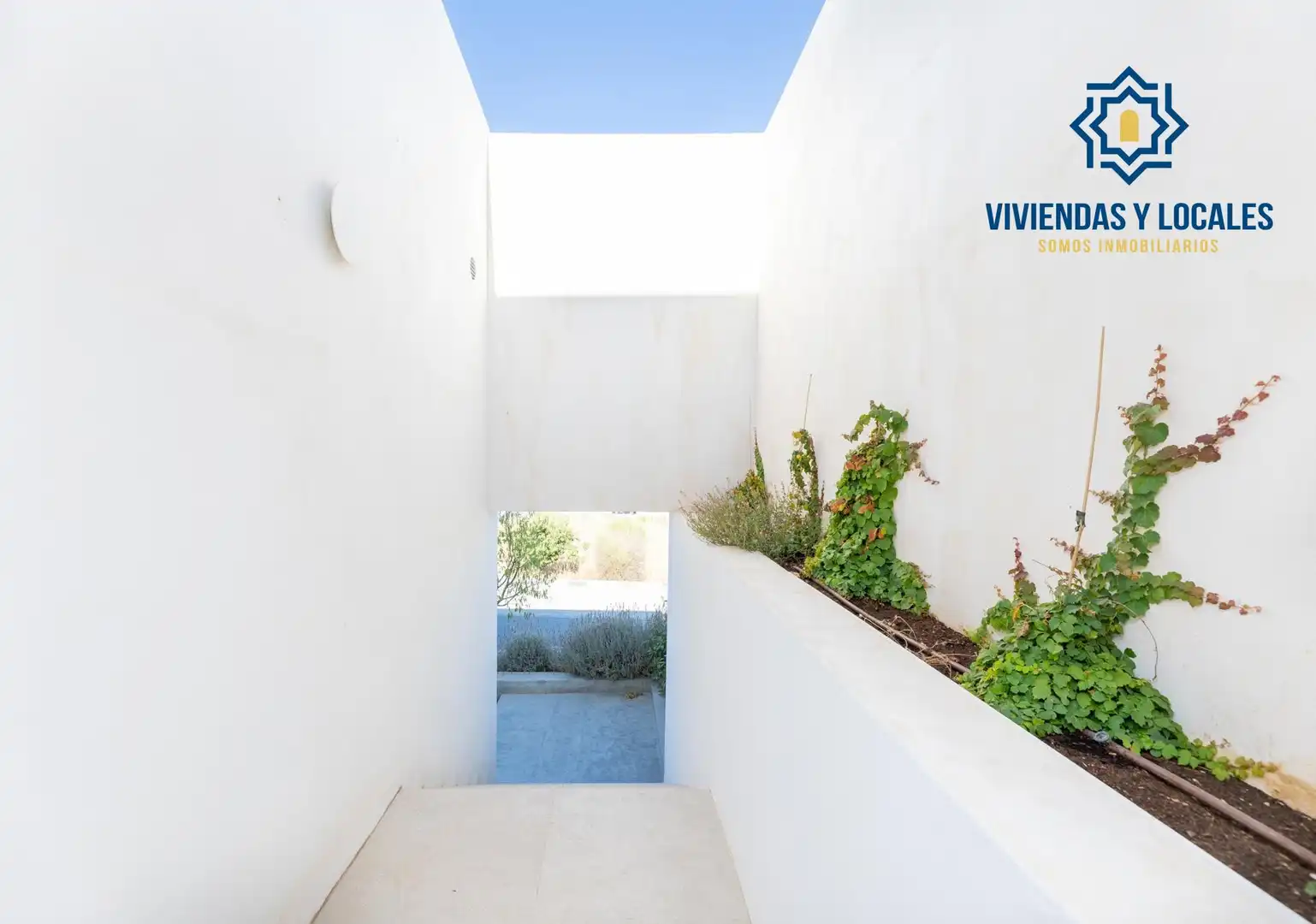 Haus mit Pool zum Verkauf in Calle de la Margarita, imagen 7