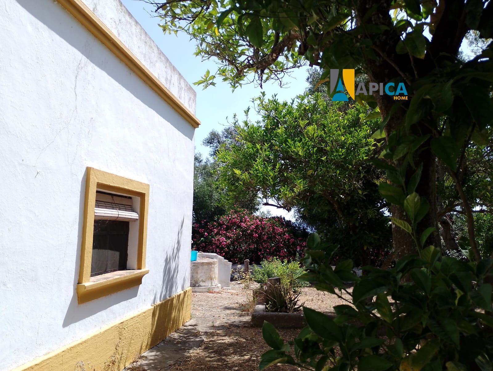 Vista exterior de Casa o chalet en venta en Vejer de la Frontera con Amueblado