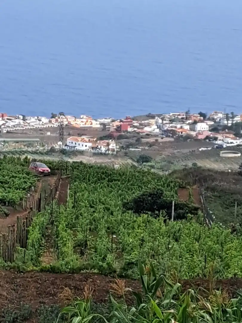Rural land for sale in El Sauzal, imagen 38