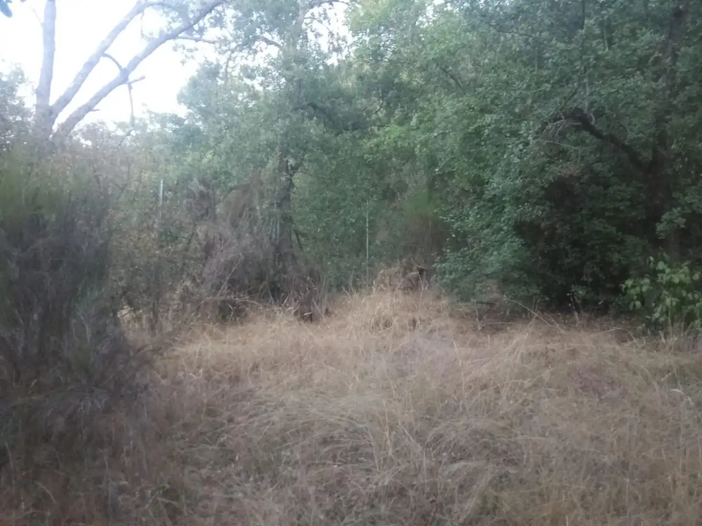 Residential land for sale in Valdenuño Fernández, imagen 4