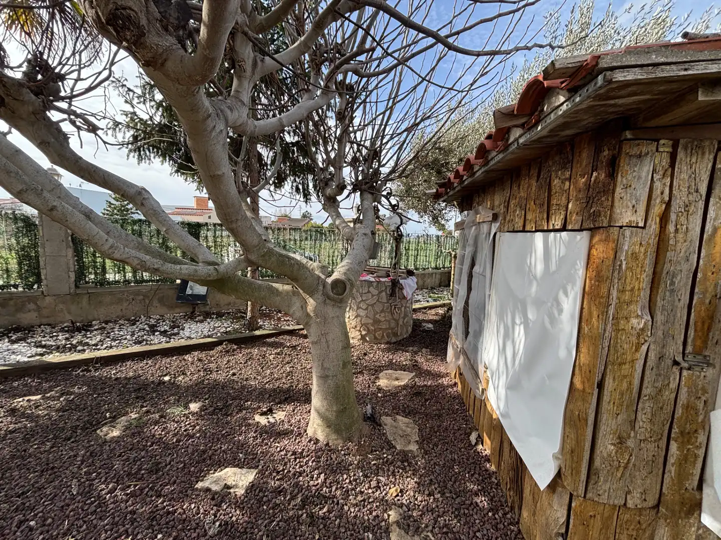 Jardí de Casa o xalet en venda en Mollerussa amb Aire condicionat, Calefacció i Jardí privat