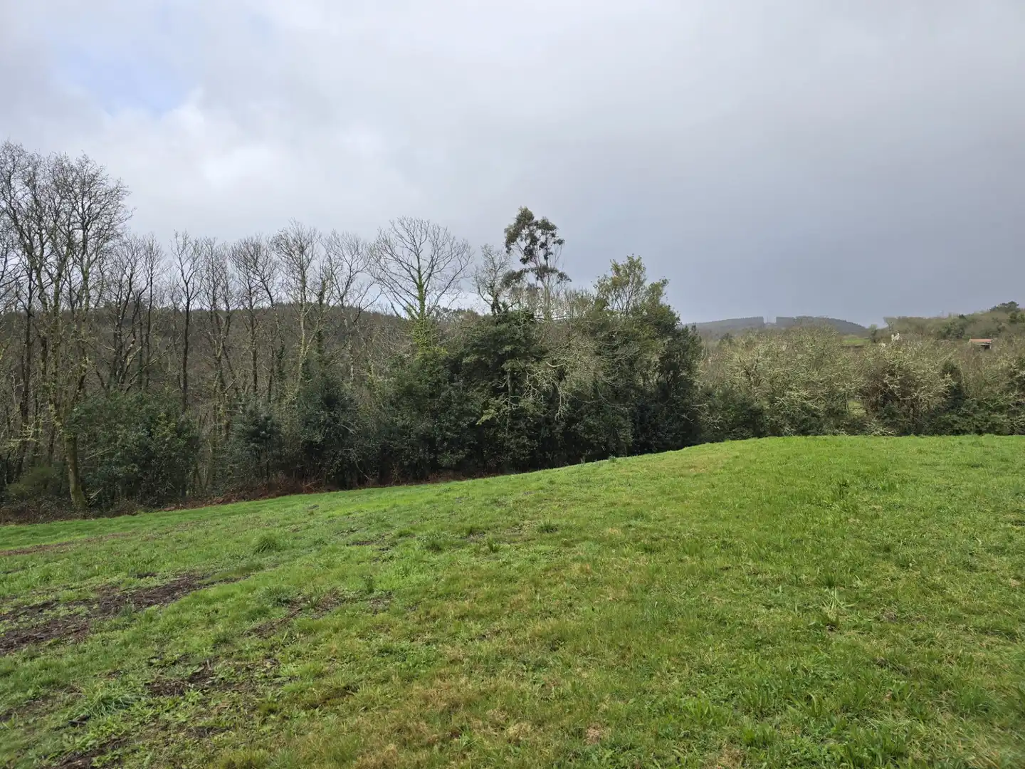 Finca rústica en venda en Cerceda amb Jardí privat