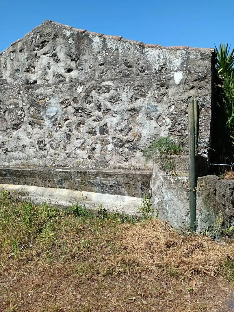 Vista exterior de Finca rústica en venta en Garachico