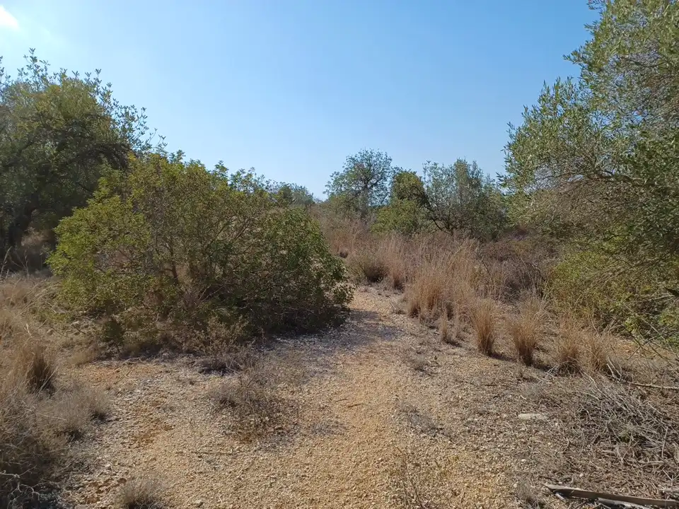 Terreno en venta en El Ràfol d'Almúnia
