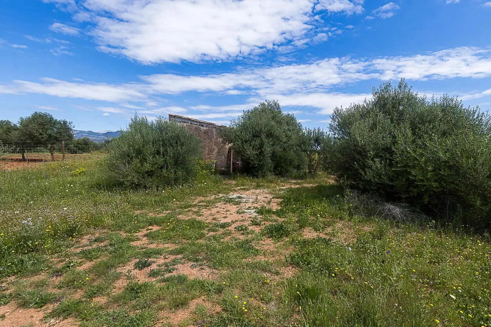 Terreny rústic en venda a Santa María del Camí, imagen 10