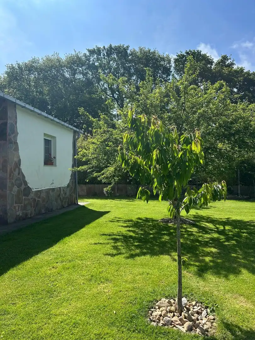 Maison à vendre à Cospeito, imagen 2