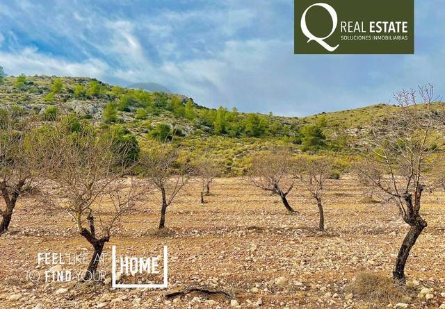 Terreno residencial en Venta en Las Virtudes