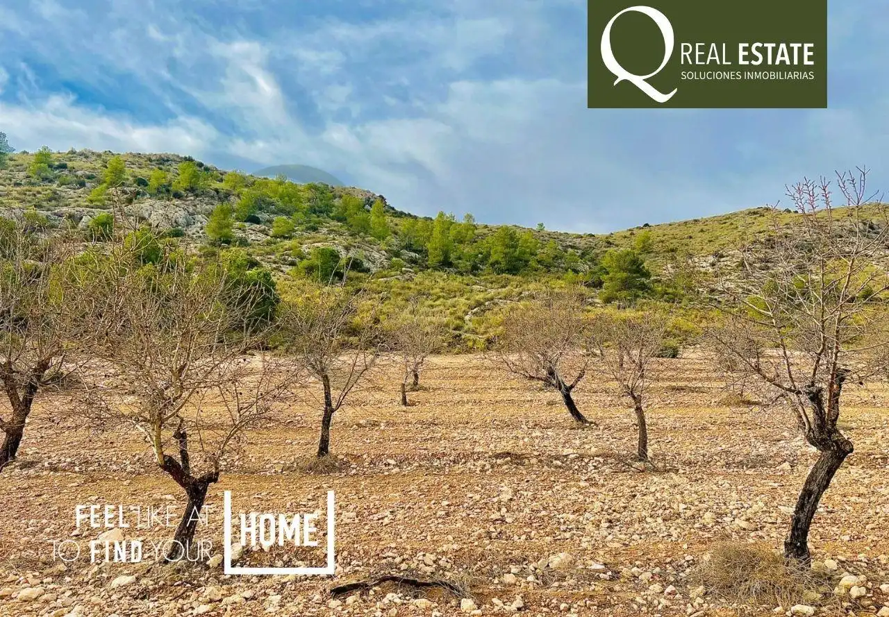 Residencial en venta en Villena