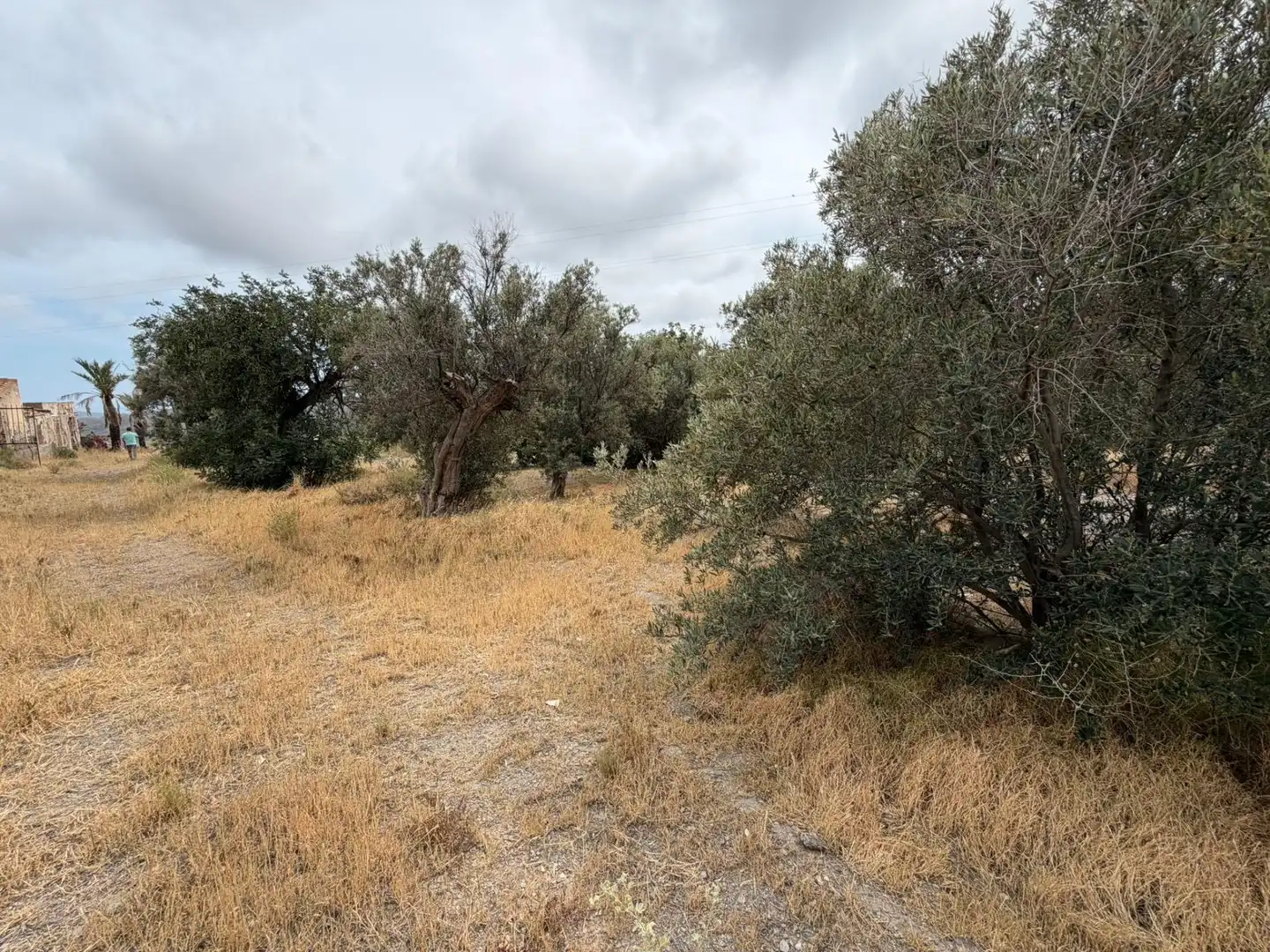 Finca rústica en venta en Lorca con Jardín privado, Terraza y Piscina