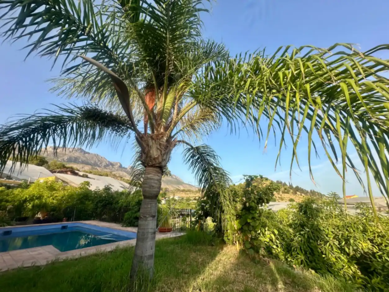 Vista exterior de Finca rústica en venta en Callosa d'en Sarrià con Jardín privado, Terraza y Trastero
