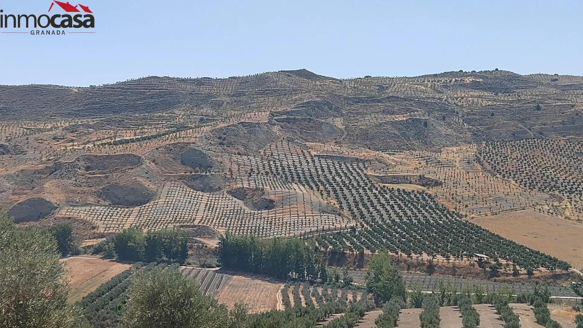 Rural land for sale in Santa Cruz del Comercio, imagen 22
