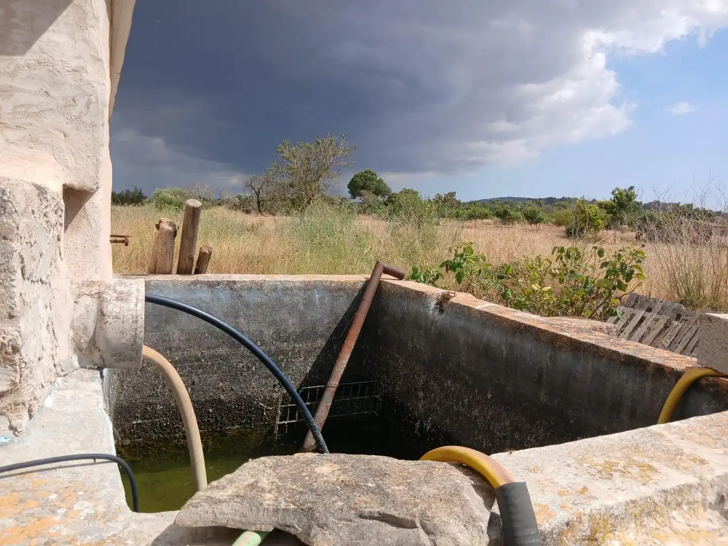 Jardí de Casa o xalet en venda en Algaida amb Jardí privat i Moblat
