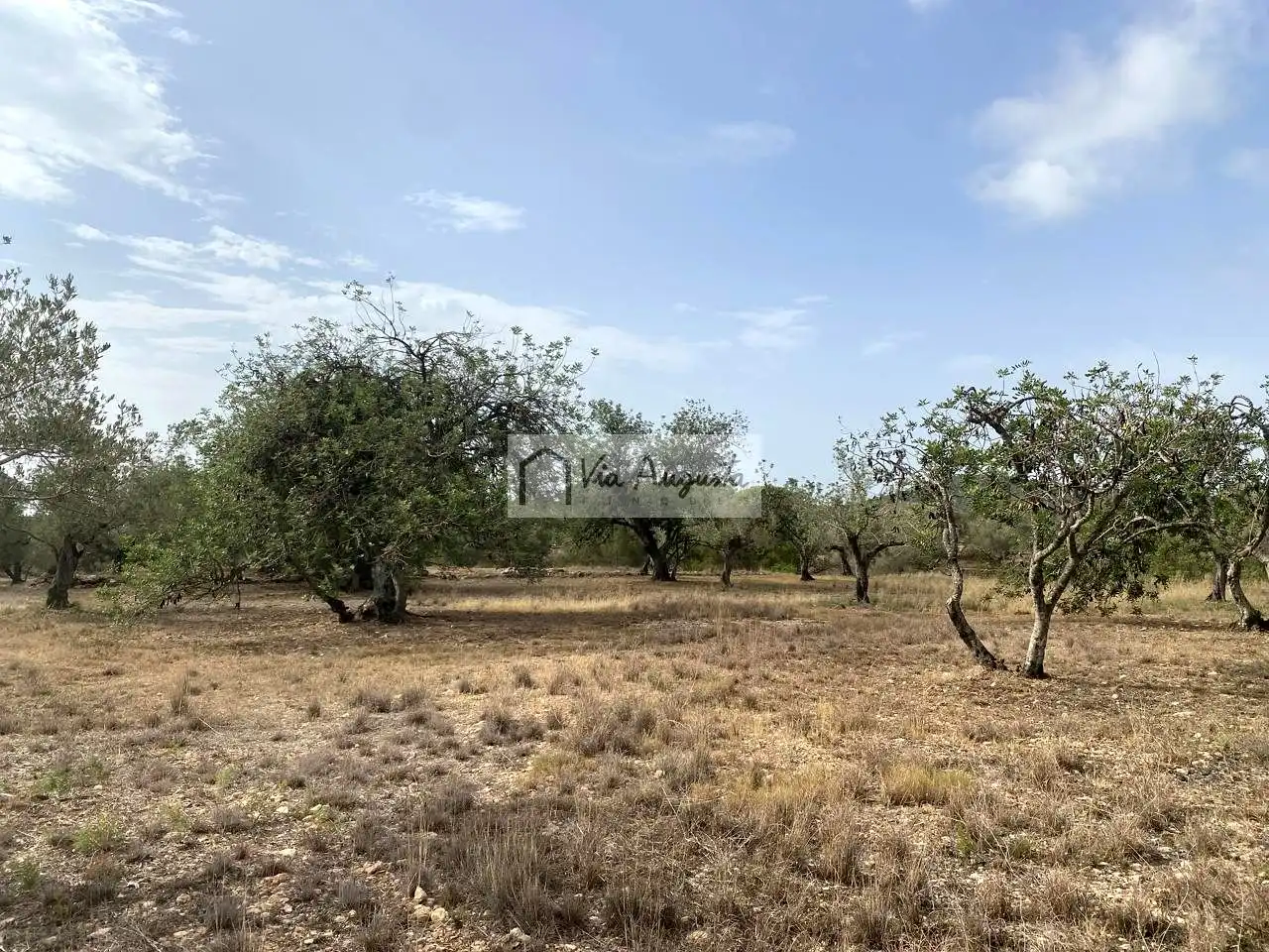 Terreno rustico in vendita a Mas de Baralluga, imagen 6