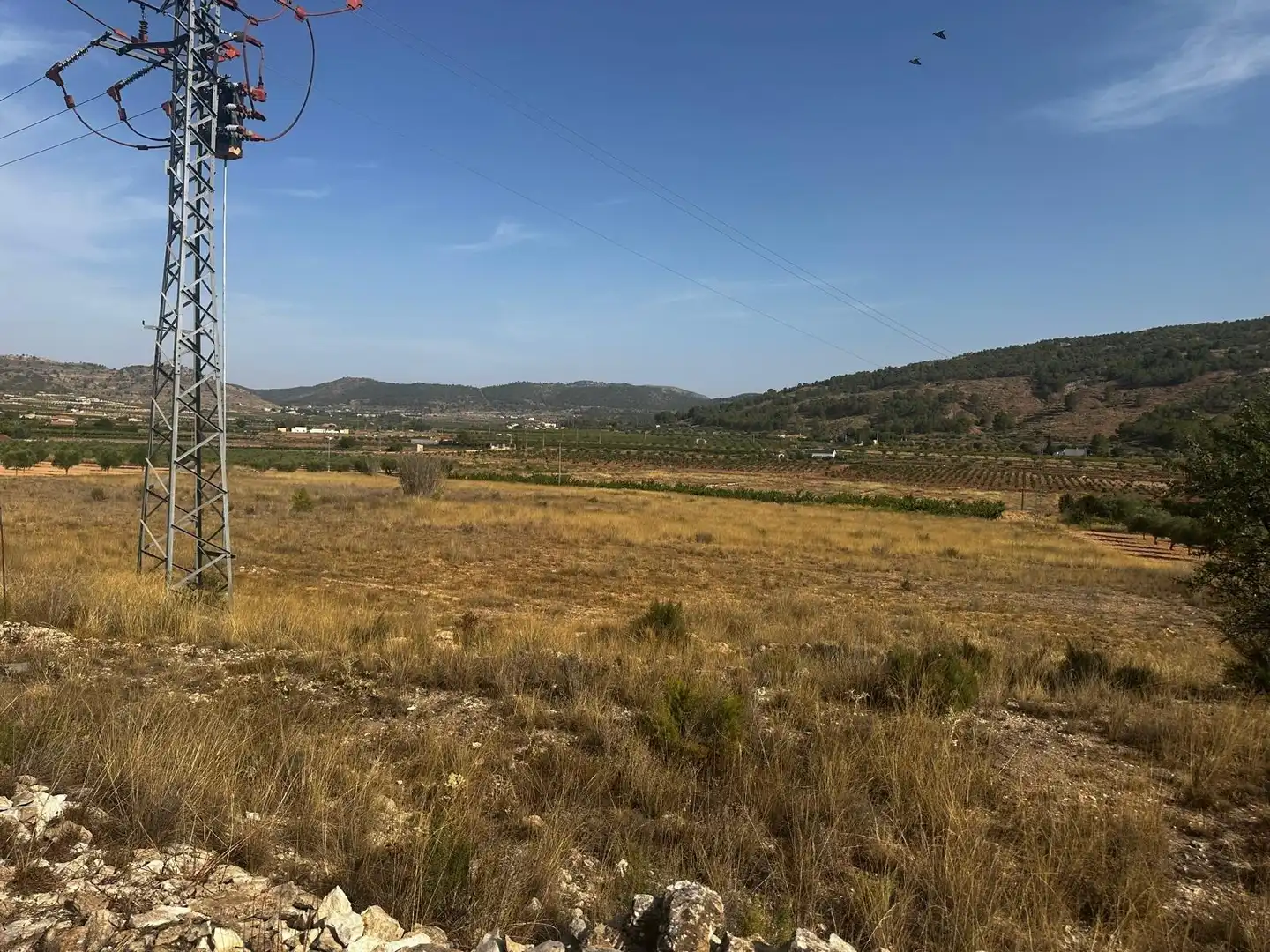 Terreny residencial en venda a El Pinós / Pinoso, imagen 2