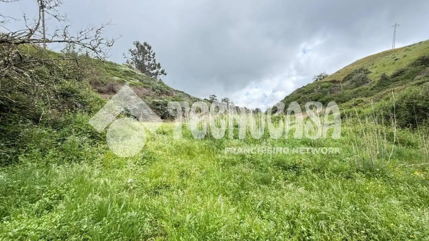Terreno en venta en Moya (Las Palmas)