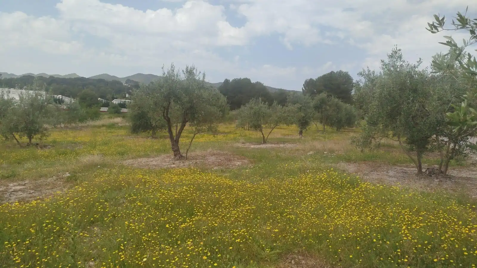 Terreno residencial en venta en L'Olleria, imagen 8