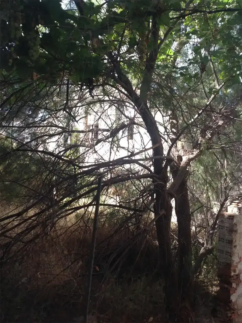 Jardí de Finca rústica en venda en Riba-roja d'Ebre