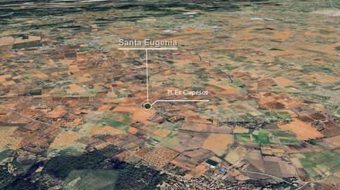 Foto 4 von Grundstücke zum Verkauf in Pl Es Clepesos  Pol .2 Nº Sn, Santa Eugènia, Illes Balears