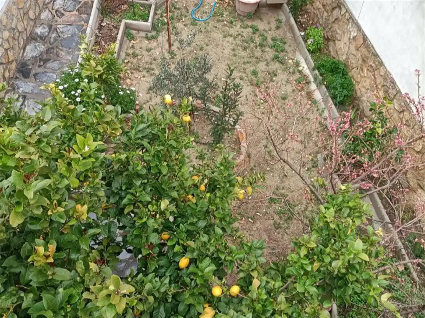 Jardí de Casa adosada en venda en Huesa amb Aire condicionat, Jardí privat i Traster
